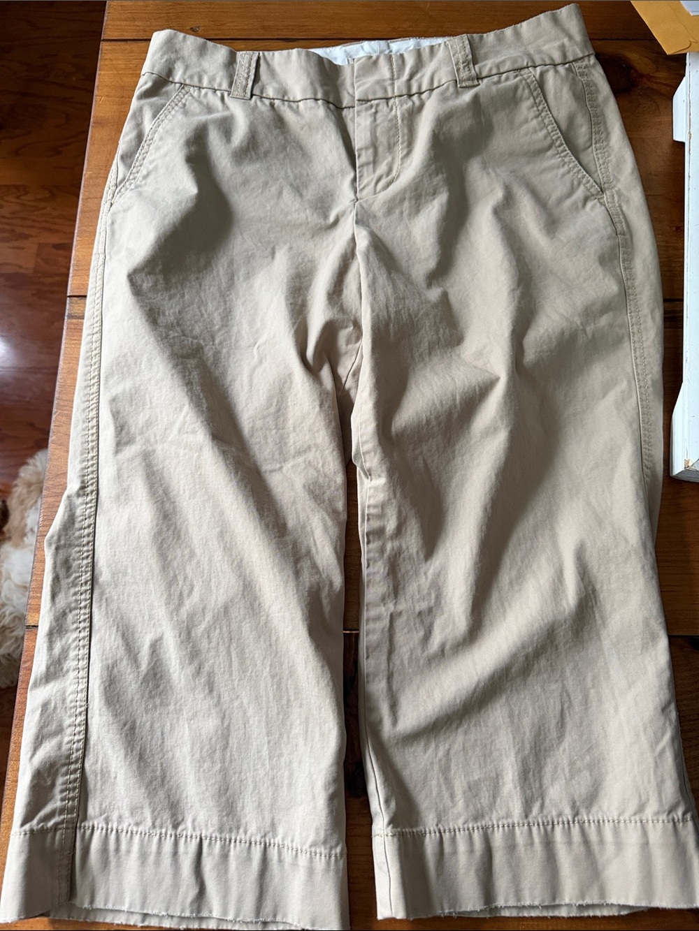 GAP Khaki Capri Pants- Cropped